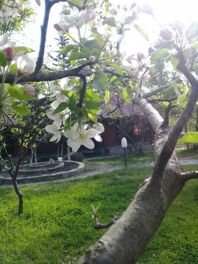 Kish Adasi Sheki Exterior foto